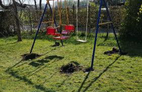 Ostfreesenhuus Vier Pfoten - Foto 34