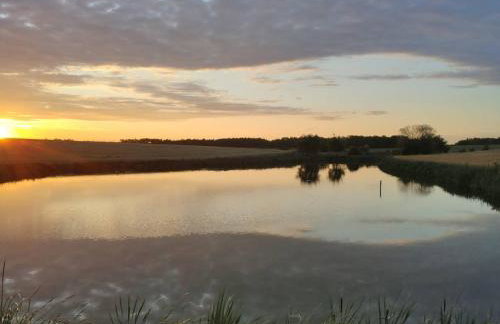 Stawy u Sikory - Dom Rybak - Agroturystyka i łowisko - Foto 31