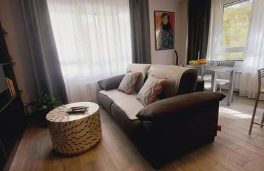 Loft Carrión - Foto 16