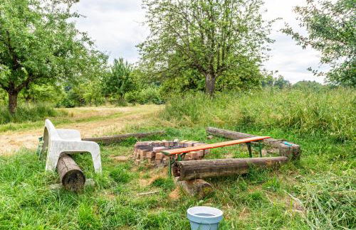 Beutenmühle Straussenfarm Dach - Foto 31