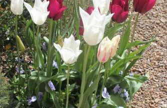 Greystones Lodge - Foto 30