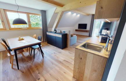 Landhotel und Apartments Sonneck - Photo 77