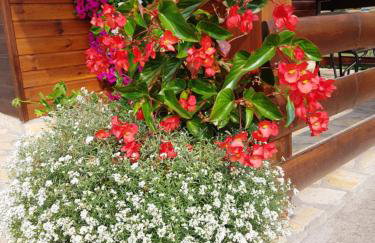 Apartments Sanja - Foto 44