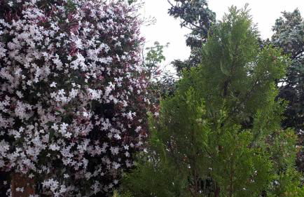 LUXURIOUS APPARTMENTS KATERINA - Foto 45