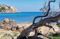 Dependance Pavoncella - Photo 3