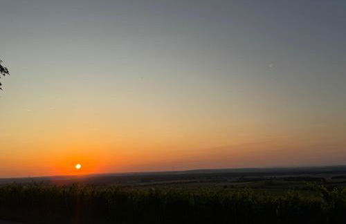 Panorama-180-Grad - Foto 15