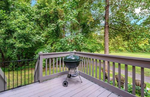 Blue Ridge View Pet Friendly, Deck, Grill - Foto 30