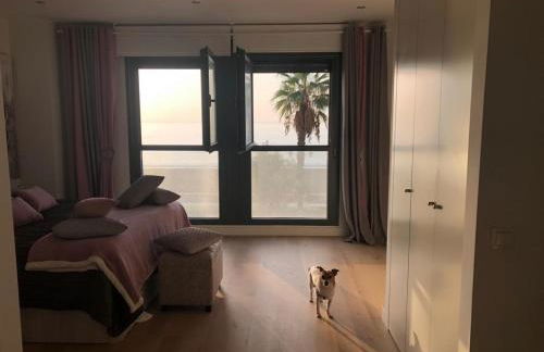 Málaga paraíso frente al mar - Photo 9