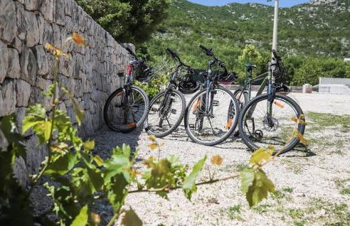 Villa Silentio Dalmatia - Foto 29