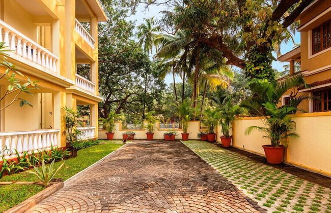 B&F Amber Gardens - Photo 13