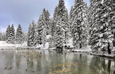 20 min to Yellowstone, Family Cabin, Fire Pit - Photo 37