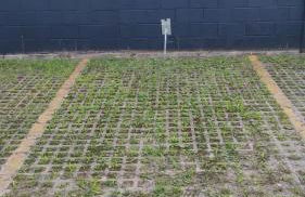 Refúgio tranquilo no coração de São Pedro - Photo 33