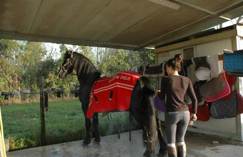 Antico Uliveto - Foto 45