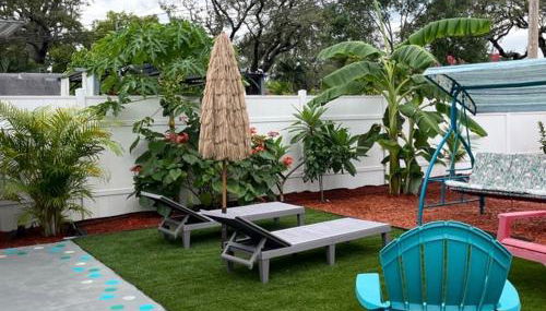 Tropical House - Photo 2