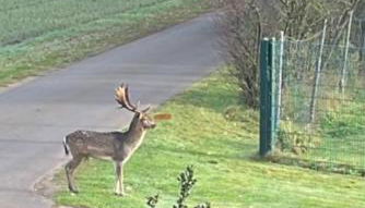 Haus Seeblick - Foto 2