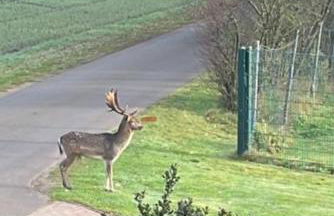 Haus Seeblick - Foto 2