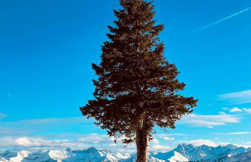 Ferienwohnung Almenrausch mit 110 m2 und sonniger Terrasse - Photo 21