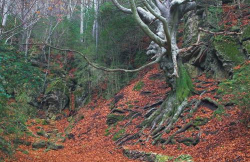 Apartamento frente al mar - Foto 54