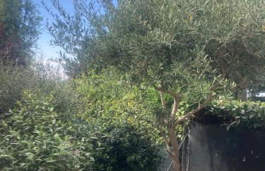 Casa Vacanza Bel Respiro - Foto 48