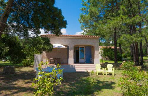 Domaine de Pianiccia - Foto 16