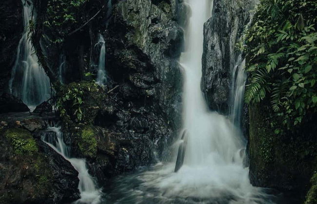 Escursione alla cascata Honolulo - Foto 4