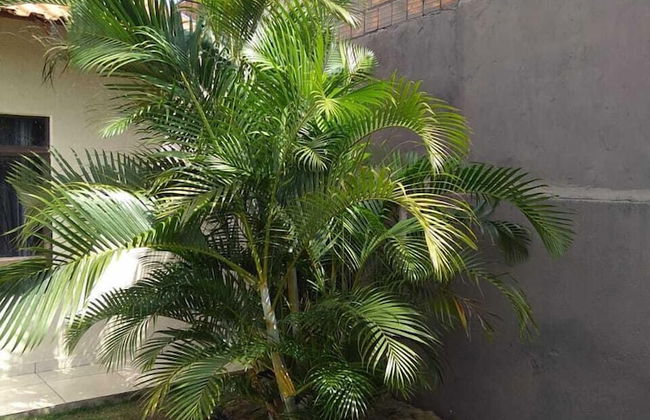 Casa Branca - Photo 1