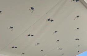 ESTELLA'S APARTMENT - Foto 20