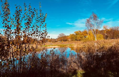 Ferienwohnung III Beck-Bräu nahe Bamberg - Foto 15