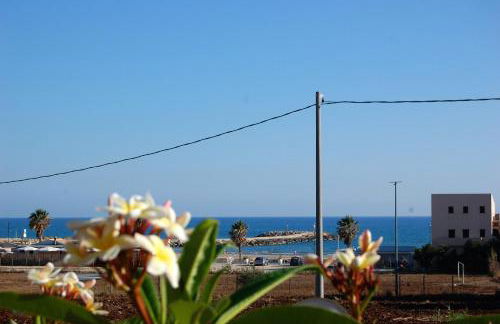 Hibiscus Rosso - Foto 22