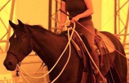 Ferienwohnung auf Pferdehof - Foto 33