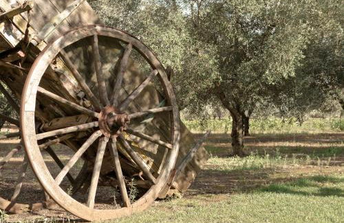 Tenuta Masseria & Spa Chicco Rizzo - Foto 28