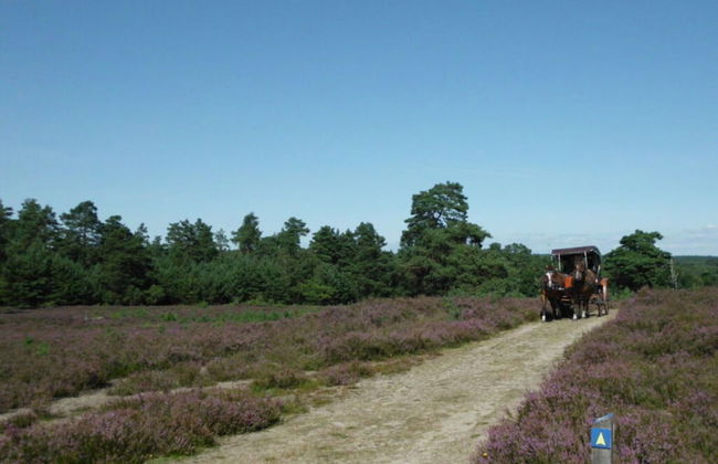 Holiday Home Hirtenkate Apartment 2 - Foto 8