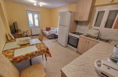 Stellar Blue Palio - Foto 25