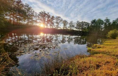 Domaine du grand roc- Gîte 3- La sitelle - Foto 5