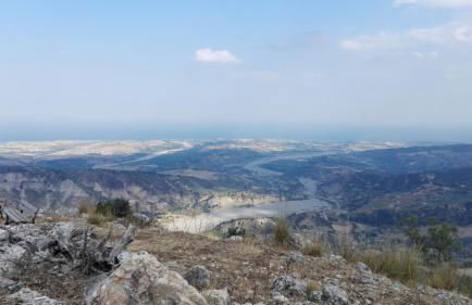 Fattoria Armonia - Foto 24