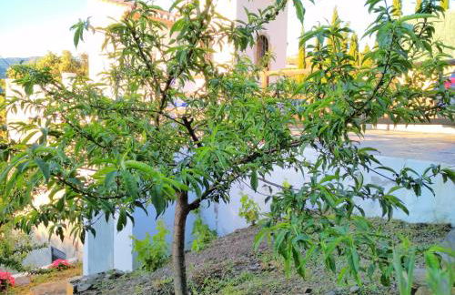 Villa Las Encinas COSTA DEL SOL - Foto 32