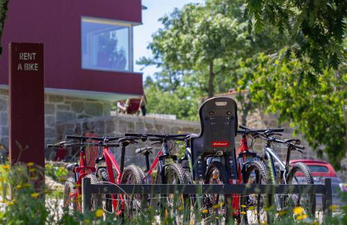 Encosta do Sobreiro - Serra da Estrela - Foto 40