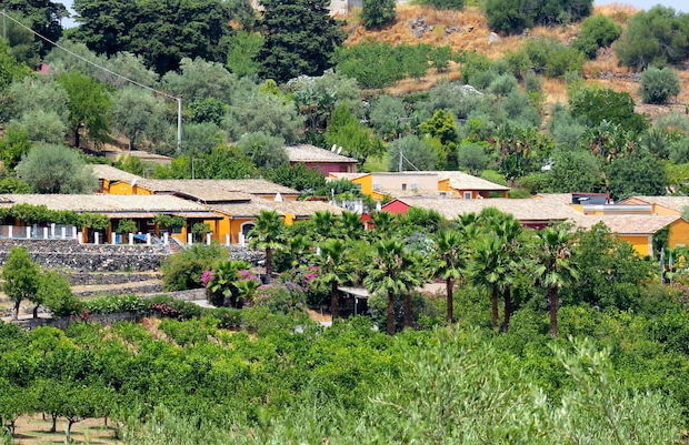 Tenuta di Roccadia - Foto 41