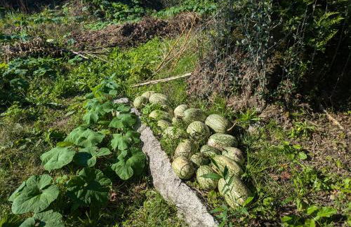 Casa do Valo - Foto 75