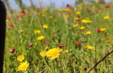 Casa Elisabetta - Foto 45