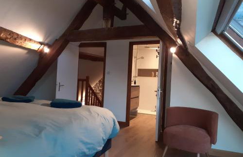 Gites au fil des châteaux de la Loire - Foto 62