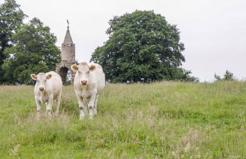 The Milking Barn - Foto 21