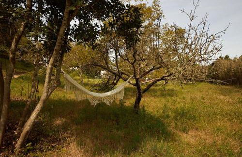 Quinta do Marmeleiro - Casa Marmeleiro - Foto 42