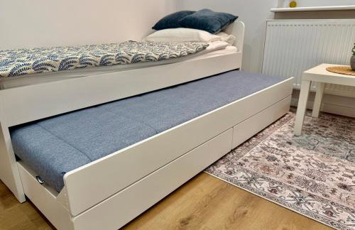 MODERN VILLA & PRIVATE GARDEN in Warsaw - Fully Renovated 2025 - Foto 29