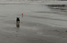 LA TERRASSE DE NOTRE DAME - Foto 58