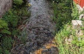 Le ruisseau du Bâmont - Foto 8