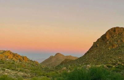 Historic Adobe 3br Home in Downtown El Presidio - Foto 39