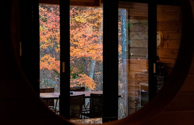 Phoenix Chalets - Foto 3