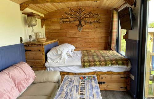 Pembrokeshire Shepherd hut with hottub - Foto 13