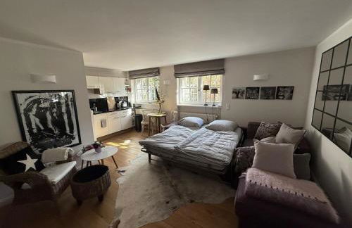 Stylish Garden Apartment in Central Munich - Foto 3